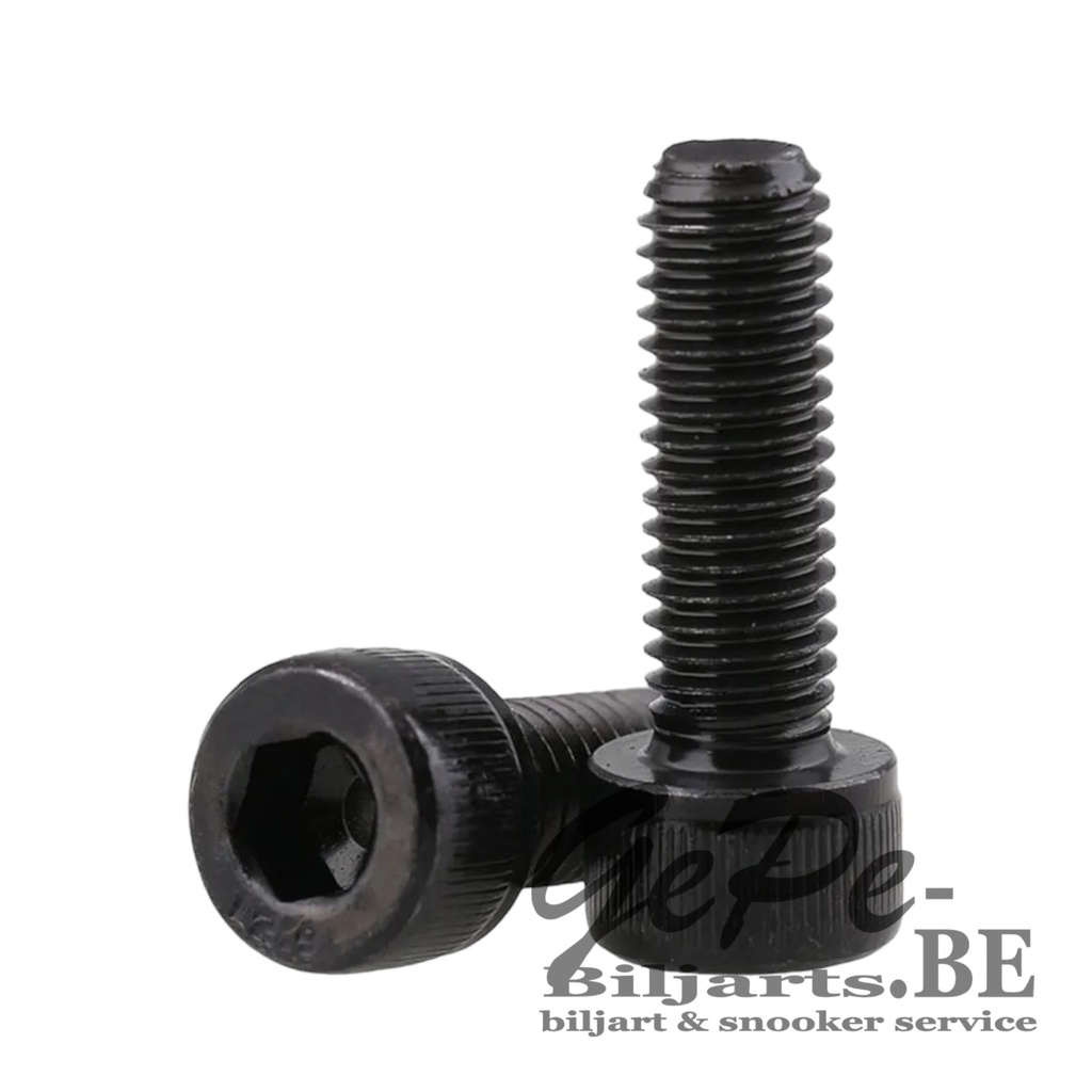 [005440000]  Screw for Pocket